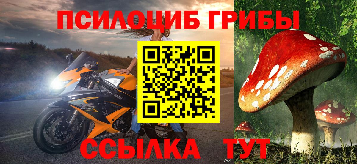 Галлюциногенные грибы GOLDEN TEACHER Барнаул