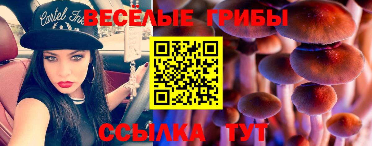Барнаул  Псилоцибиновые грибы Magic Shrooms  Вход с VPN  Галлюциногенные грибы GOLDEN TEACHER 